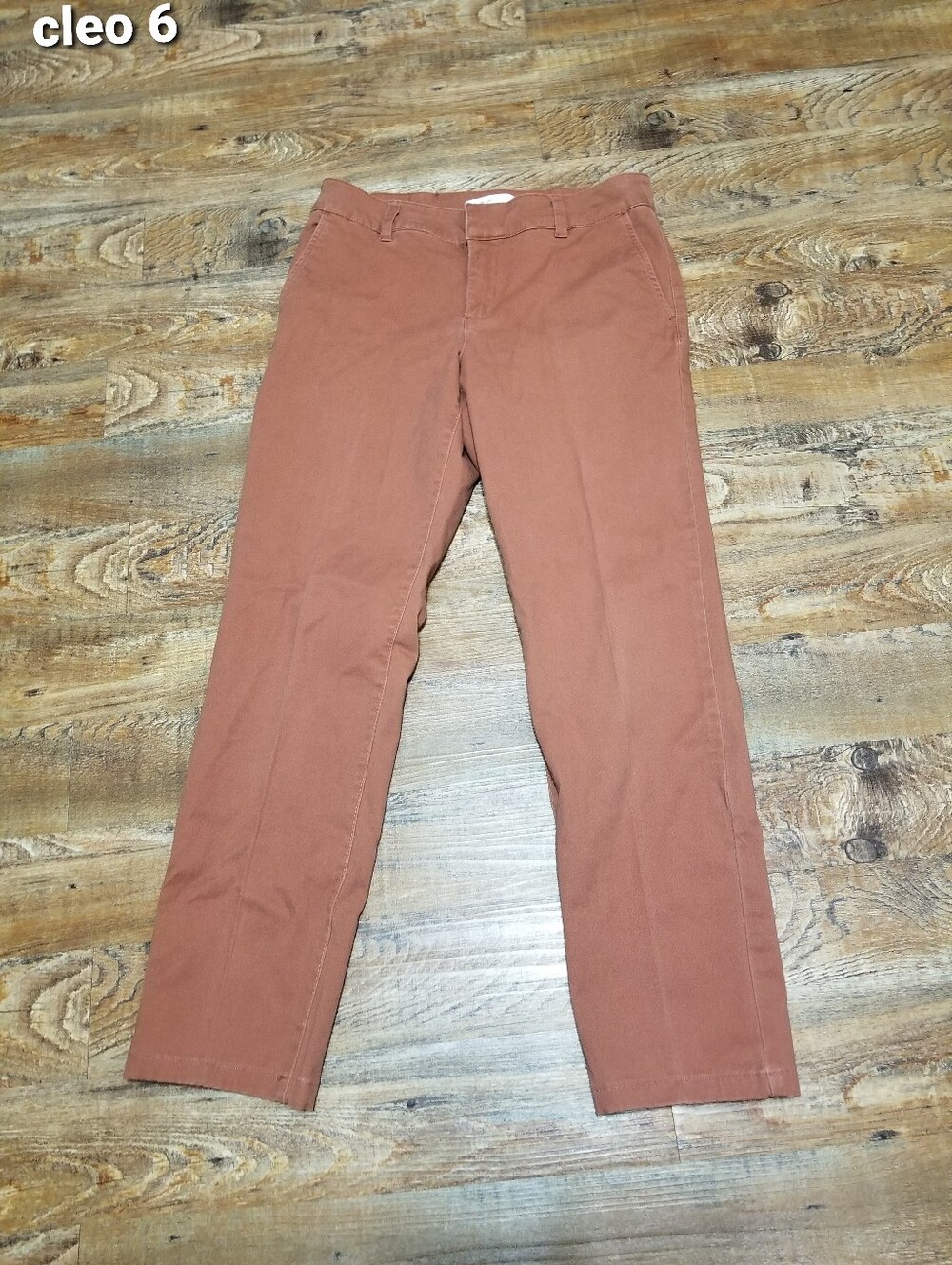 Cleo Pants 6 Cotton Rust Color Nwotags